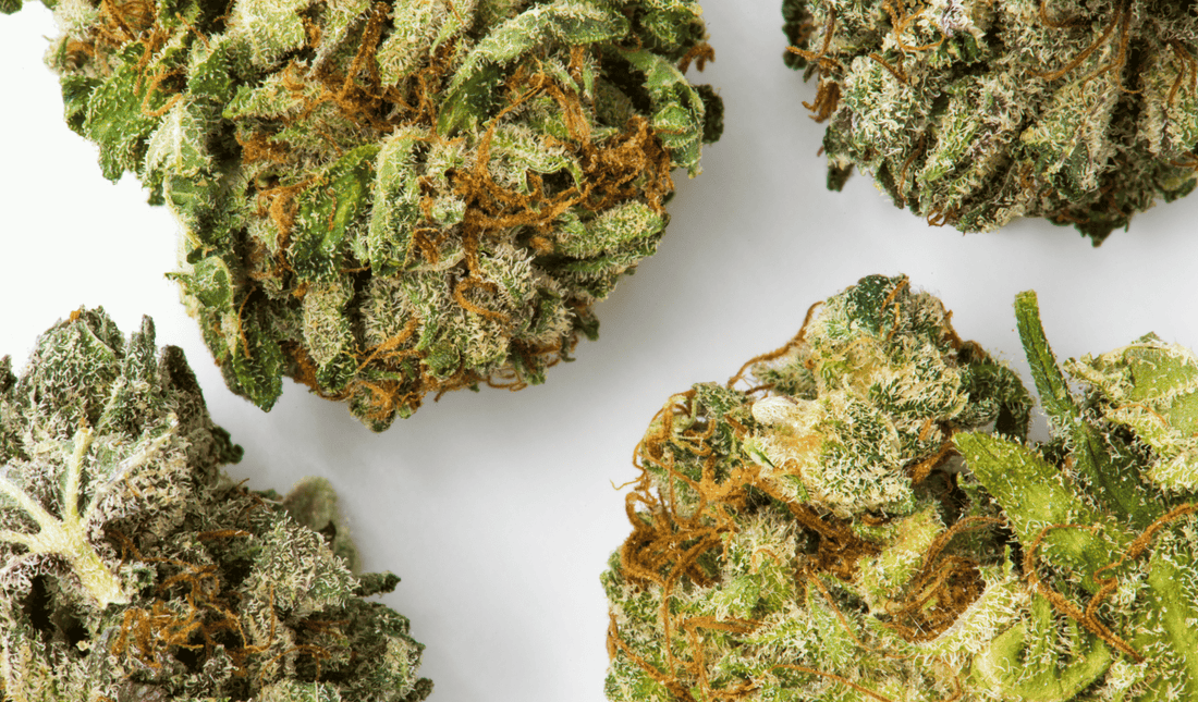 The Ultimate Guide to Understanding THCA and THC