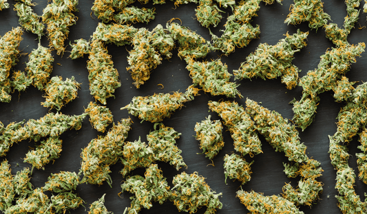 Behind the Scenes: Quality Control and Standards at Gold Spectrum