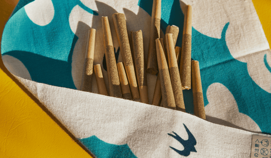 Cannabis and Creativity: A Deeper Look into the Artistic Connection